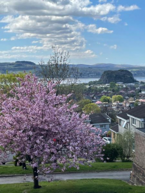 Dumbarton With A View